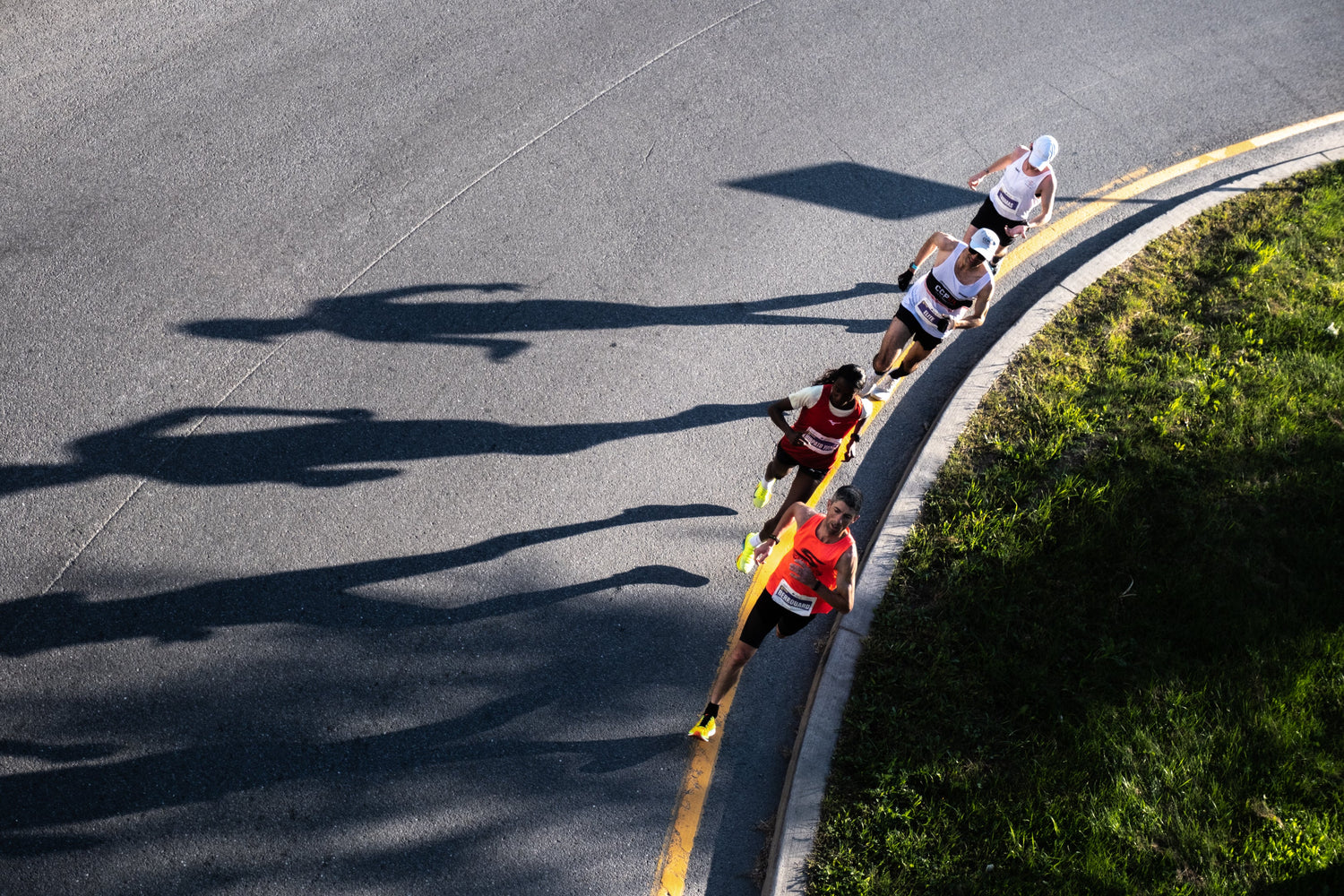 Black Friday / Cyber Monday